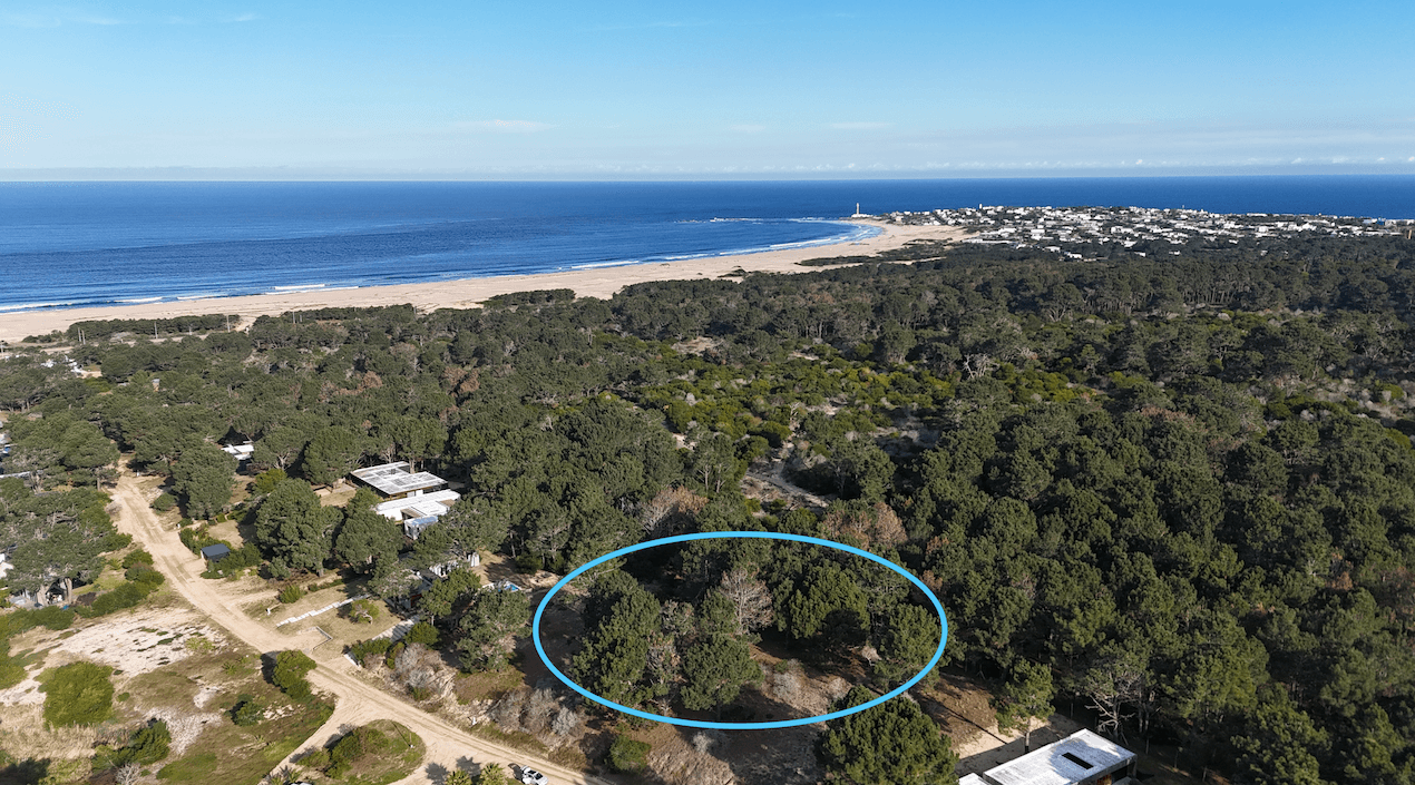Terrenos en Venta - "Laguna Escondida" José Ignacio